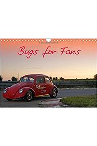 Bugs for Fans 2017