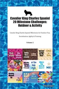 Cavalier King Charles Spaniel 20 Milestone Challenges
