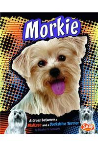 Morkie