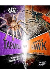 Tarantula vs. Tarantula Hawk