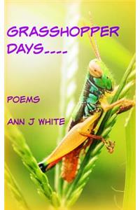 Grasshopper Days and Firefly Nights