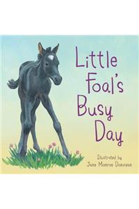 Little Foal's Busy Day