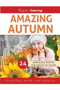 Amazing Autumn