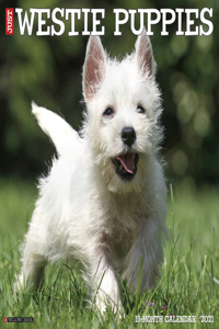 Just Westie Puppies 2021 Wall Calendar (Dog Breed Calendar)