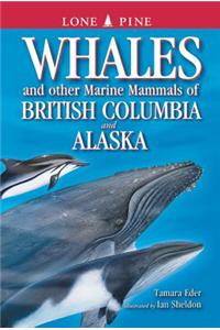 Whales and Other Marine Mammals of British Columbia and Alaska