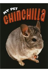 My Pet Chinchilla