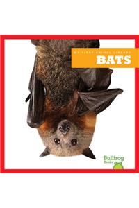 Bats