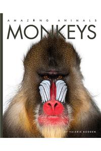 Amazing Animals: Monkeys