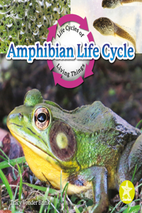 Amphibian Life Cycle