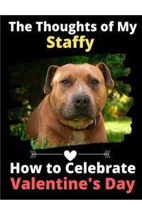 The Thoughts of My Staffy