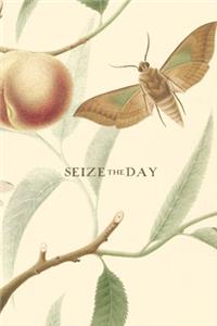 Seize the Day