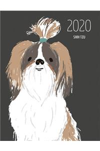 2020 Shih Tzu