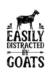 Easily Distracted by Goats