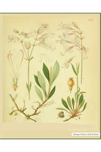 Nature Sketch Book