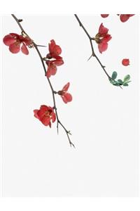 Flowering Red Quince Gone Wild Notebook
