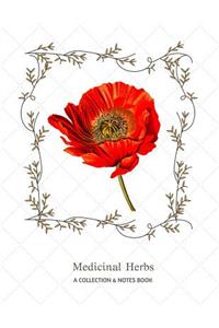 Medicinal Herbs