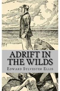 Adrift in the Wilds