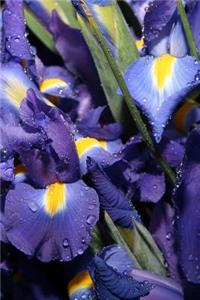 2019 Weekly Planner Flowers Beautiful Blue Iris 134 Pages