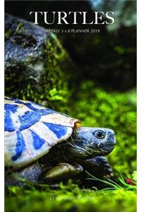 Turtles Weekly 5 X 8 Planner 2019