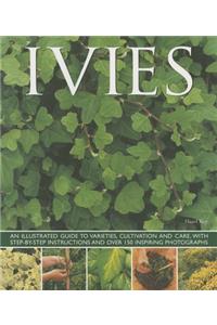 Ivies: An Illustrated Guide to Varieties, Cultivation and Care, With Step-by-Step Instructions and over 150 Inspiring Photographs