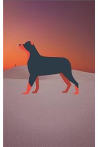 Dog in the Valley Journal