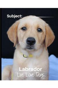 Labrador - Live Love Dogs!