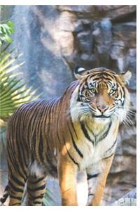 2019 Appointment Calendar: 2019 Daily Planner Goal Planner Standing Tiger