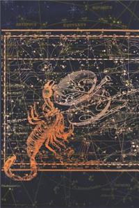 Notizbuch Skorpion