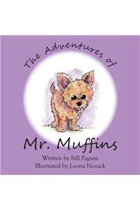 Adventures of Mr. Muffins