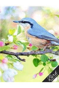 Bird Notebook Collection