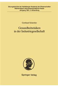 Gesundheitsrisiken in Der Industriegesellschaft