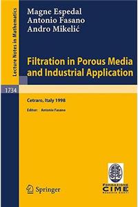 Filtration in Porous Media and Industrial Application