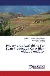 Phosphorus Availability For Bean Production On A High Altitude Andosol
