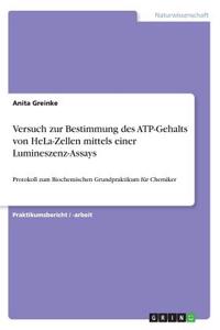 Versuch zur Bestimmung des ATP-Gehalts von HeLa-Zellen mittels einer Lumineszenz-Assays