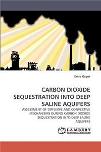 Carbon Dioxide Sequestration Into Deep Saline Aquifers