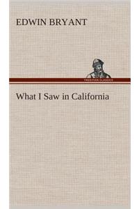 What I Saw in California