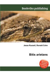 Bitis Arietans