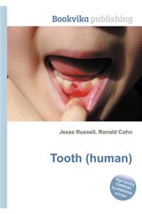 Tooth (Human)