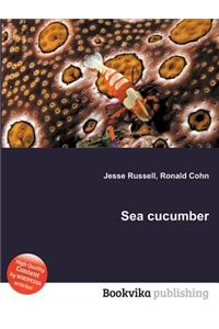 Sea Cucumber