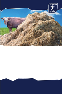 Бытовые биодигестерные установки