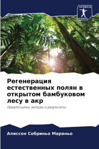 Регенерация естественных полян в открыто