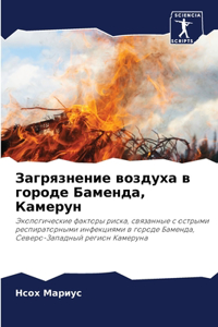 Загрязнение воздуха в городе Баменда, Ка
