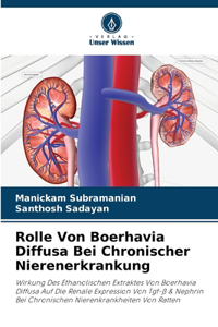 Rolle Von Boerhavia Diffusa Bei Chronischer Nierenerkrankung