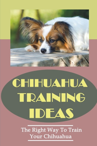 Chihuahua Training Ideas