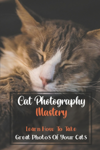 Cat Photography Mastery