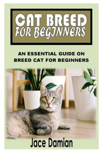 Cat Breed for Beginners