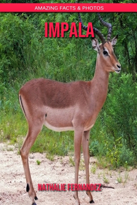 Impala