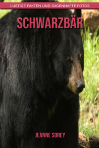 Schwarzbär