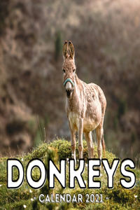 Donkeys Calendar 2021