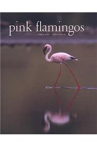 Pink Flamingos
